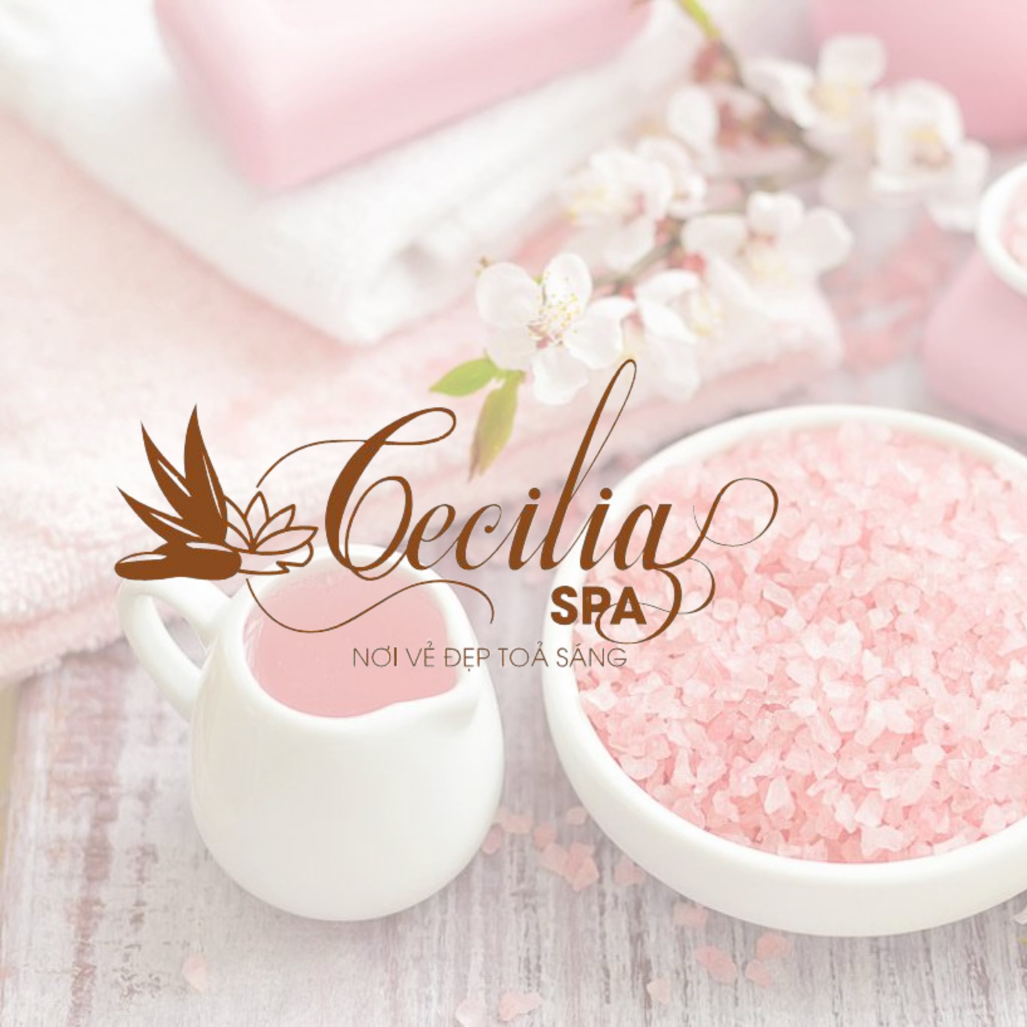 CECILIA SPA